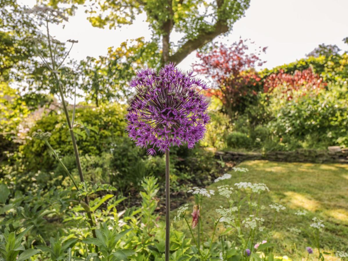 Fox Den Cottage Castle Combe Ngoại thất bức ảnh